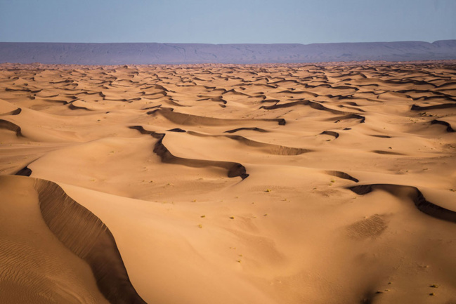 Gazelles and Men Rally Gazelles and Men Rally