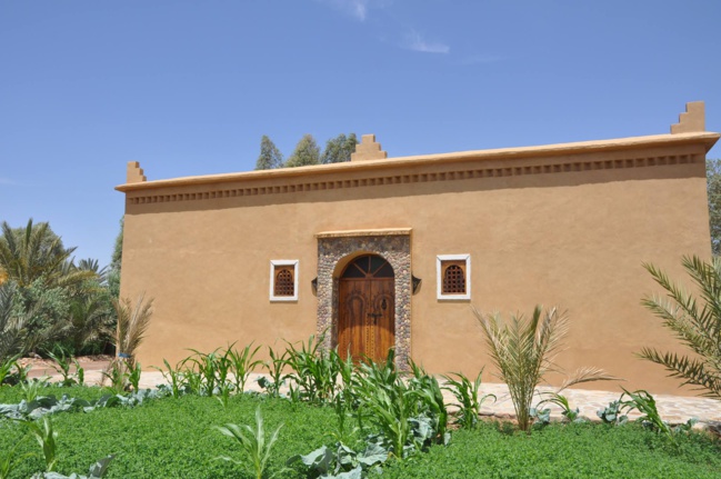 Camping Serdrar Tazzarine Camping Serdrar Tazzarine