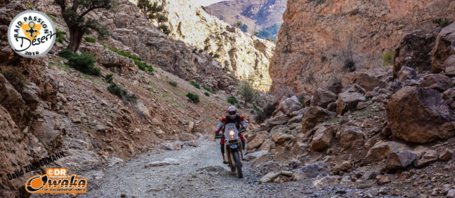 12ème Raid Passion Désert - Le Dakar du peuple