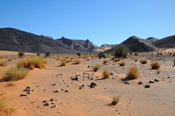 Piste Zagora-Merzouga -quelques curiosités