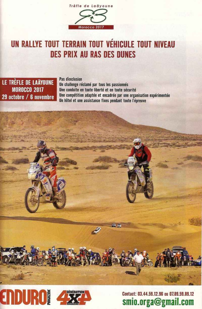 Le trèfle de Laayoune (Shamrock-Le Retour ?) Le trèfle de Laayoune (Shamrock-Le Retour ?)