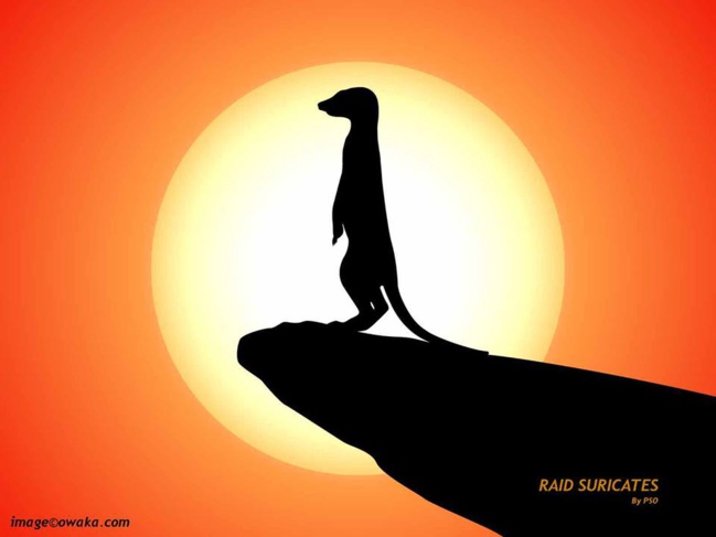 Raids en Algérie Raids en Algérie