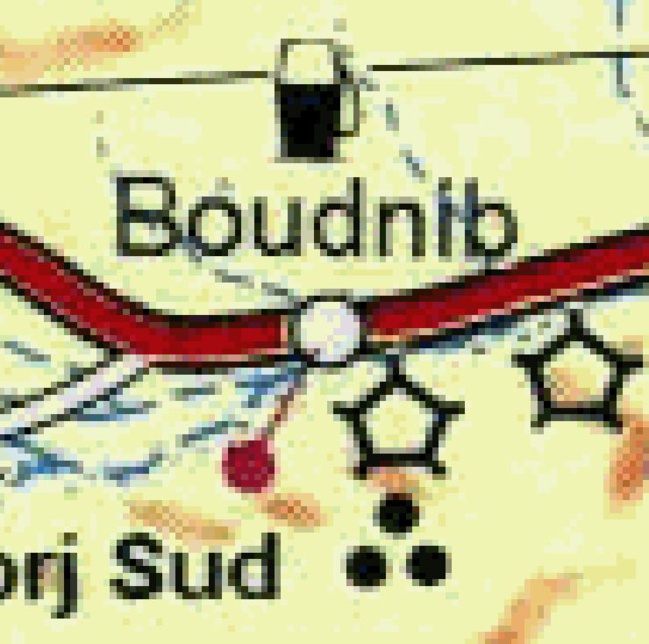 CARTES VECTORIELLES ou CARTES RASTER CARTES VECTORIELLES ou CARTES RASTER