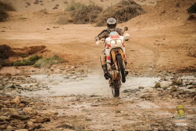 Pionnier’s 2019 Pionnier’s 2019