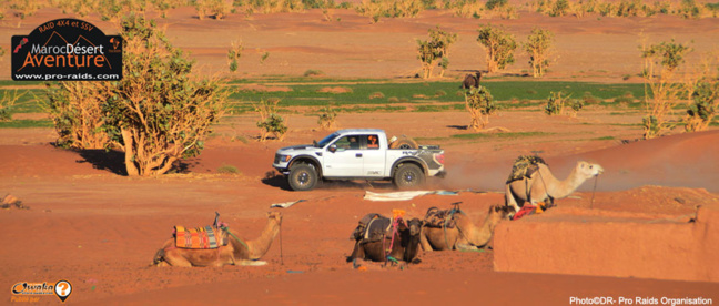 Les Raids du 1° semestre 2021 Les Raids du 1° semestre 2021