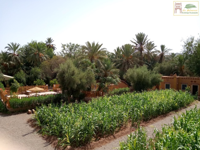 Ecolodge La Palmeraie Ouarzazate (Tajda) Ecolodge La Palmeraie Ouarzazate (Tajda)