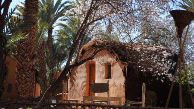 Ecolodge La Palmeraie Ouarzazate (Tajda)