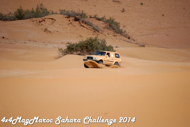 Sahara Challenge 2014