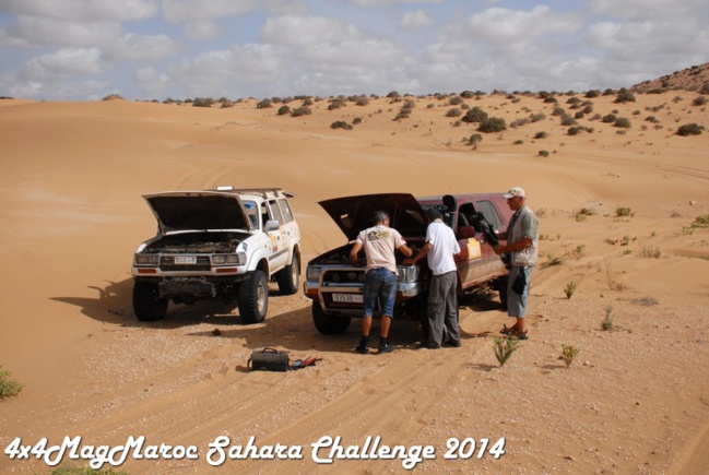 Sahara Challenge 2014