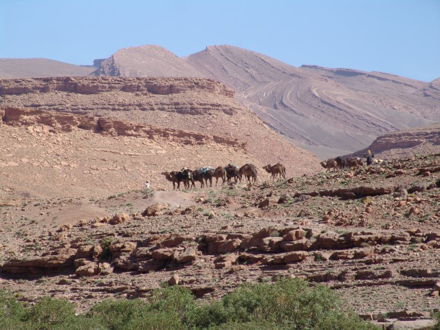 Traversée gorges du Todra - gorges du Dades