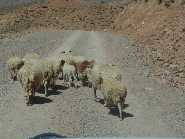 Traversée gorges du Todra - gorges du Dades