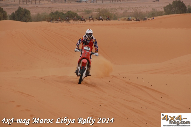 Libya Rally 2014 Classement Motos et Quads en Image