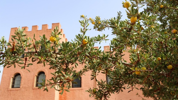 Ecolodge Atlas Kasbah – Agadir Ecolodge Atlas Kasbah – Agadir