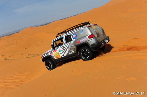 Gazelles Gadiris 2015 Gazelles Gadiris 2015