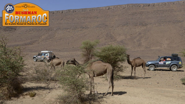 Les raids du second semestre 2020. Les raids du second semestre 2020.