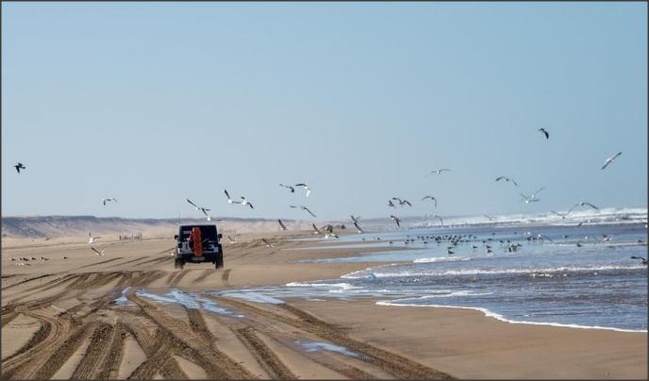 Les raids du premier semestre 2025 Les raids du premier semestre 2025