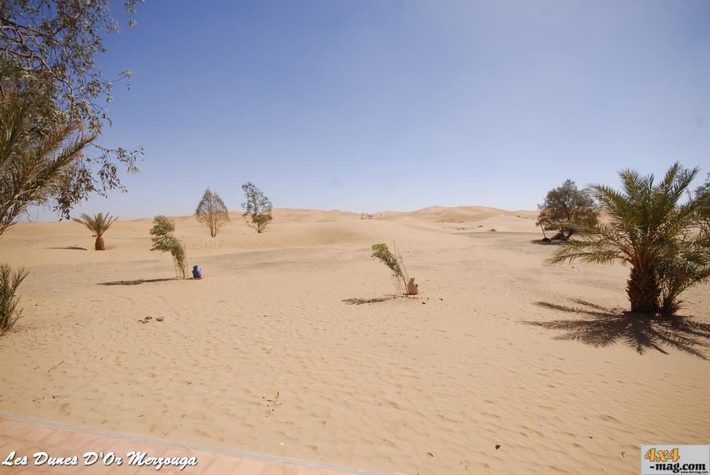 Les Dunes D'Or