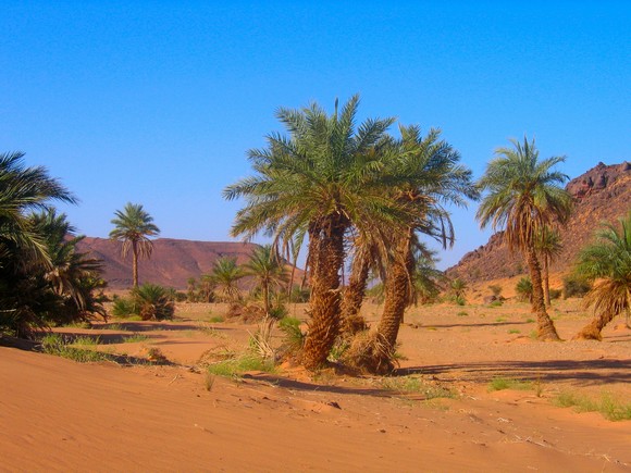 Piste Zagora-Merzouga -quelques curiosités