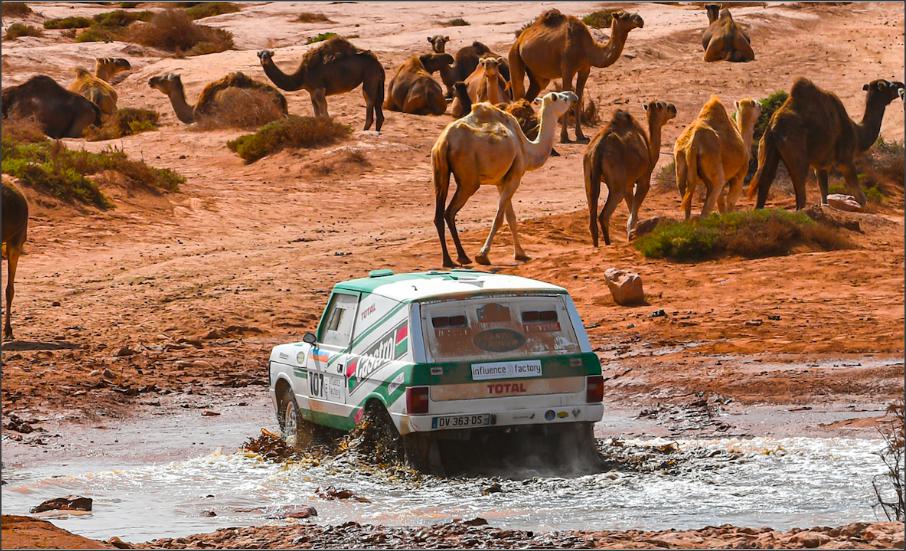 Rallye Raid Les Pionniers de l’Histoire Maroc édition
