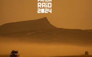 Panda raid Panda raid